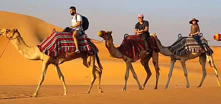 Photo 2 Red Dune Desert Safari with Camel Ride