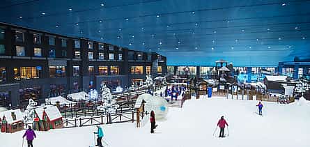 Photo 2 Ski Dubai Snow - Plus tour & Desert Safari with BBQ Dinner