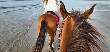 Photo 2 Horse Riding Oman
