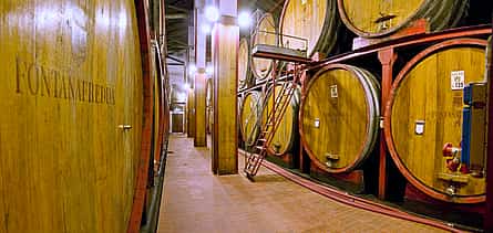 Фото 2 Вино и трюфели в Альбе Частная экскурсия на целый день