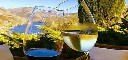 Photo 2 Douro Luxury Private Cruise with Premium Winery and Restaurant Visit