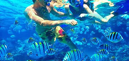 Fotoğraf 2 Bali: Padangbai Blaue Lagune Schnorcheln mit lokalem Guide
