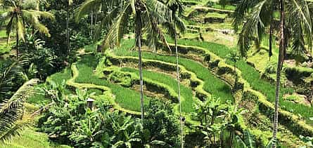 Фото 2 Experience Ubud: From Traditional Crafts & Monkey Forest to Ancient Temples & Jungle Waterfalls