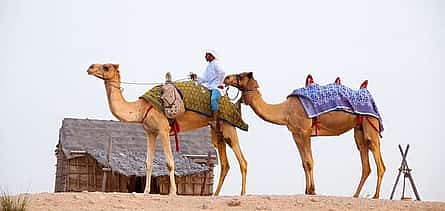 Foto 2 Dubai private 10 hour city tour, local English speaking driver