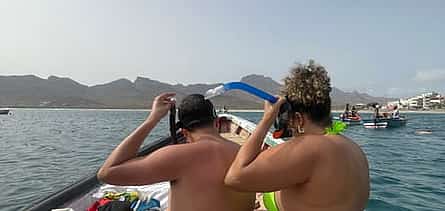Photo 2 Snorkeling with Sea Turtle Experience, São Vicente