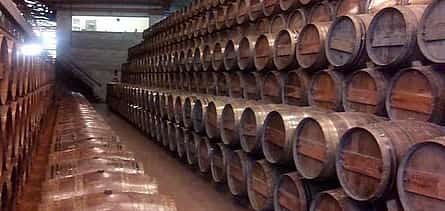 Photo 2 Full Day Private Wine Tour in Arrabida