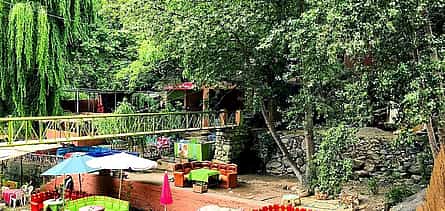 Photo 2 Marrakech: Atlas Mountains, Ourika Valley, Waterfall with Lunch