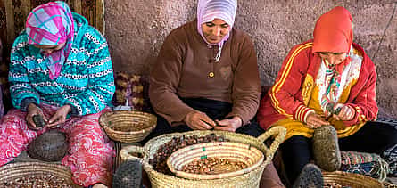 Φωτογραφία 2 Full-day Atlas Mountains and Agafay Desert Tour