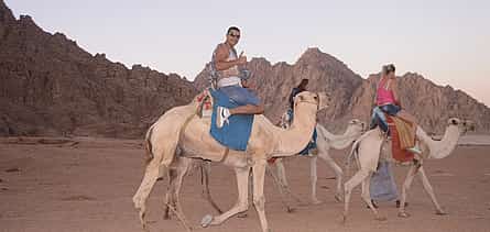 Photo 2 Sharm Super Safari 5x1: Quad Bike + Bedouin Dinner + Camel Ride + Show + Star Gazing