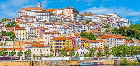 Photo 2 Let's Discover Coimbra Together. Private Day Trip from Lisbon