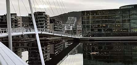 Photo 2 Private Direct Transfer From Oslo to Drammen