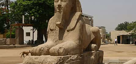 Photo 2 Discover Giza Pyramids, Saqqara and Memphis