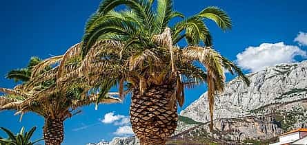 Photo 2 Private Transfer from Split to Makarska, Hotel-to-hotel, English-speaking driver