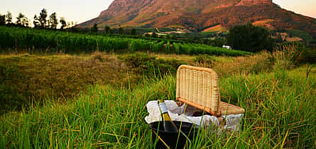 Photo 2 Private Full-day Winelands Tour to Paarl