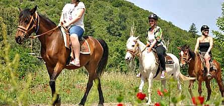 Фото 2 Конный тур в Таврских горах с трансфером из Аланьи в обе стороны