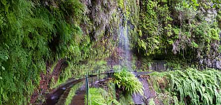 Photo 2 King's Levada, Hidden Corners Full-day Walking Tour