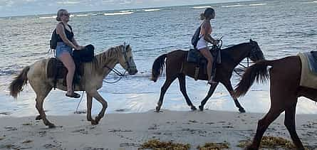 Photo 2 2-hour Horseback Riding Tour