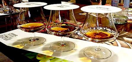 Foto 2 Besichtigung der Ararat Brandy Fabrik (Paket Aromen)