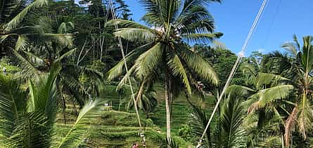 Photo 2 Mt Batur Sunrise Trekking, Jungle Swing & Rice Terrace