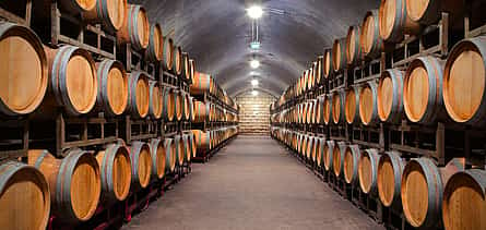 Foto 2 Visita privada de medio día a las bodegas de vino de Oporto con almuerzo local