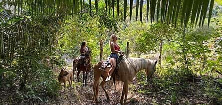 Photo 2 Rey Spearo - Enchanting And Romantic Custom Created Tours
