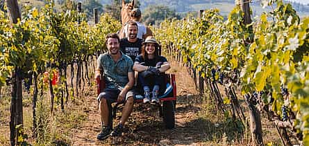 Photo 2 Chianti Rufina Private Half-day Tour from Florence