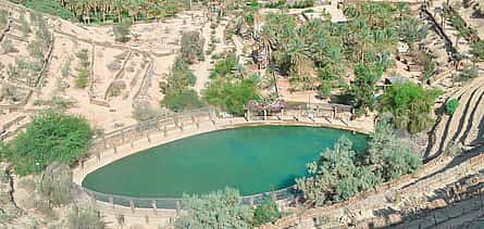 Photo 2 Oases, Adventure & Star Wars: An Epic Journey from Djerba to Tozeur