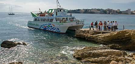 Photo 2 Two-Hour Dolphin Spotting Catamaran Cruise Ticket
