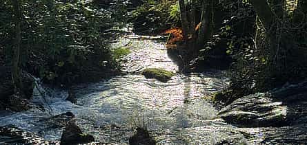 Photo 2 Hiking in Minho Region