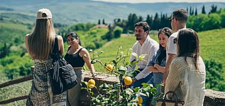 Photo 2 Full Day Chianti Tour Small Group with Local Sommelier