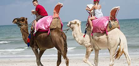 Photo 2 Explore Djerba at the Gentle Pace of a Camel Ride