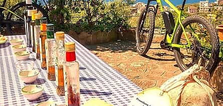 Фото 2 Эногастрономический велотур в Сорренто