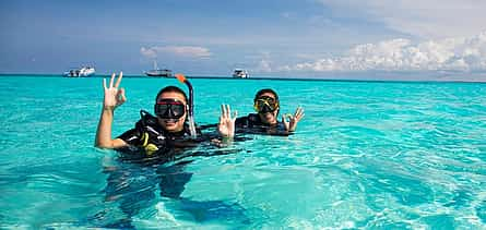 Foto 2 Sansibar: Schnorcheln auf der Insel Mnemba und Schwimmen mit Delfinen