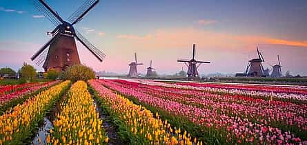 Photo 2 Private transfer from Amsterdam to Kinderdijk, 2h Stop in Gouda