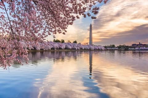 Washington DC Scavenger Hunt & Self-Guided Walking Tour