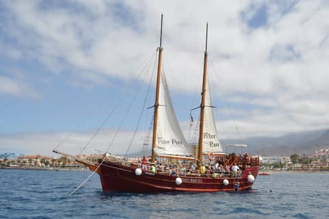Tour with Whale Watching in Tenerife Peter Pan Boat