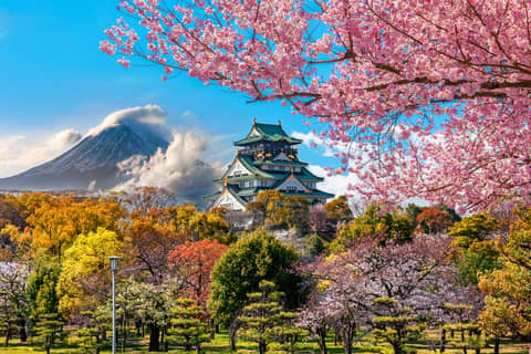 Full-day Osaka Private City Tour