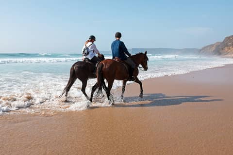 Agadir Horse Riding and Flamingo River