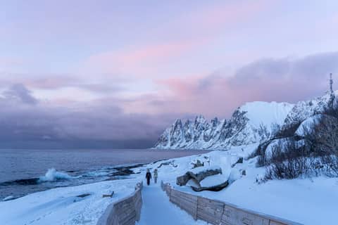 From Tromsø: Full-Day Senja Tour with Scenic Ferry & Photography