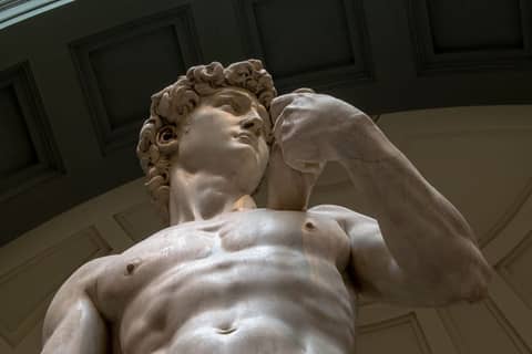 Official entry Ticket with time reservation  for the Accademia Gallery & Michelangelo’s David