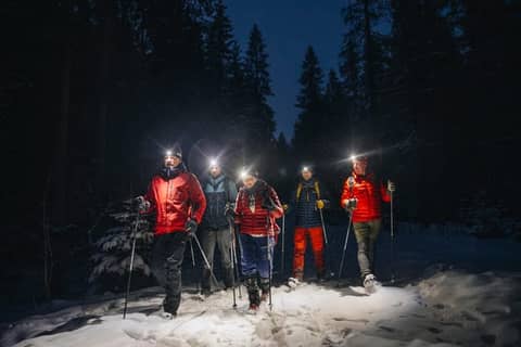 Private Mystery Night Walk with Headlamps