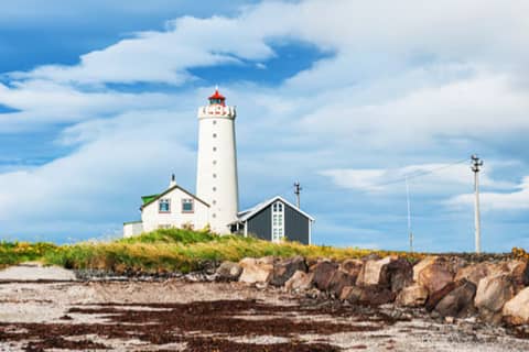 Private 4-hour Reykjavik Driving Tour