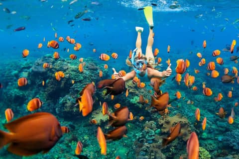 Snorkeling and Sunset cruise