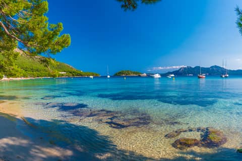 Half-day Private Sailing Tour in Palma de Mallorca