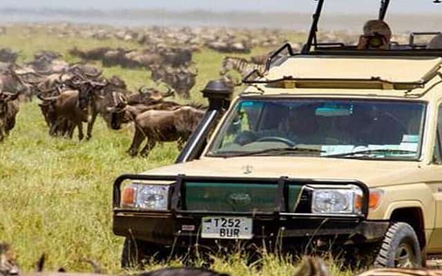 Masai Mara
