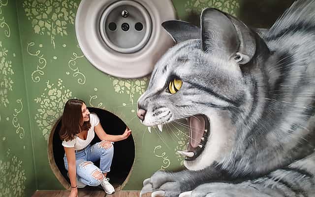 Museum of Fantastic Illusions