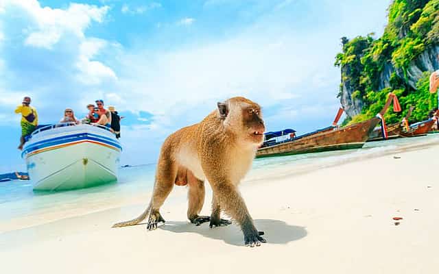 Phi Phi Islands