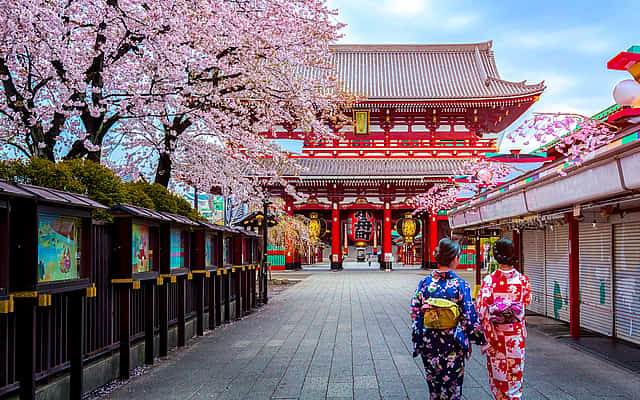 Full-day Private City Tour