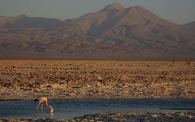 San Pedro de Atacama