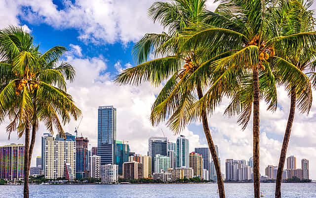 Miami Beach Tour